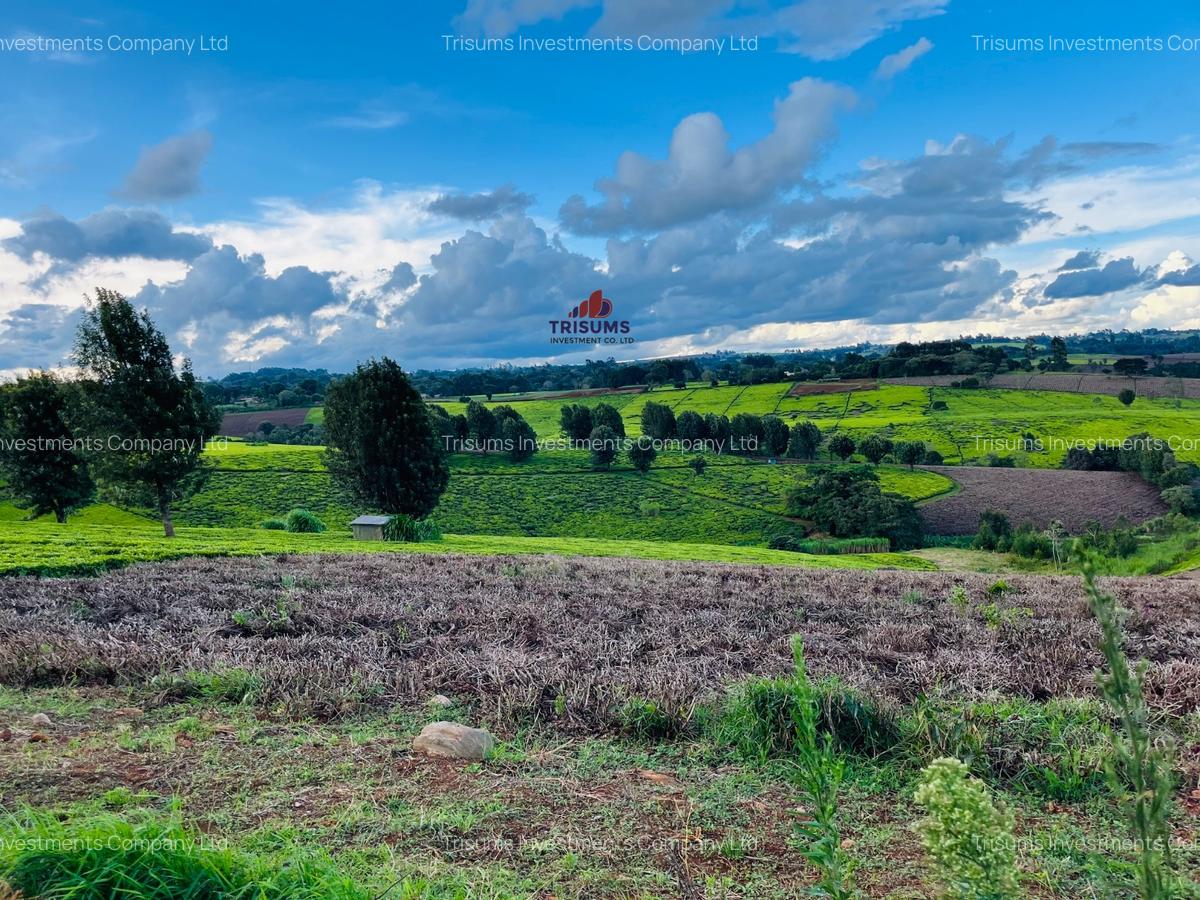 40 ac Land in Limuru - 9