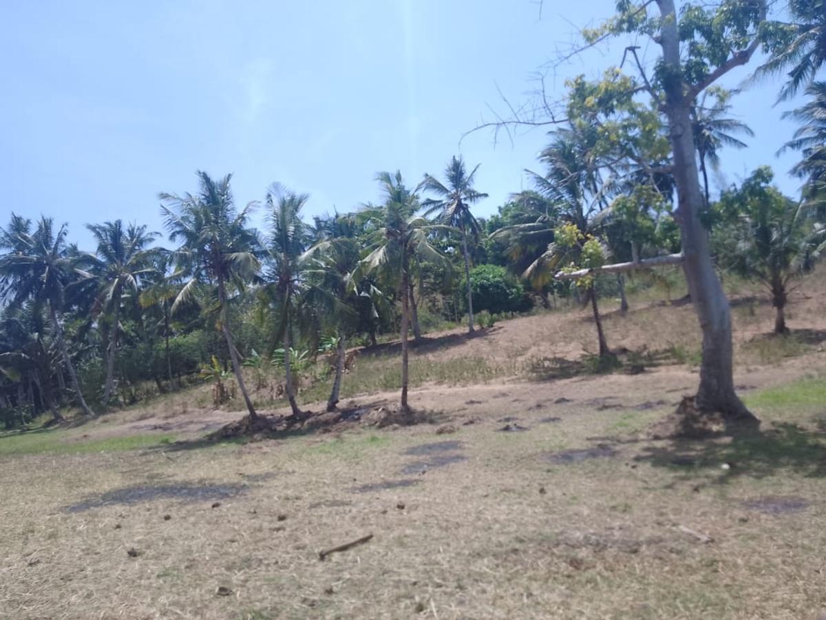 90 ac Land at Ridge - 9