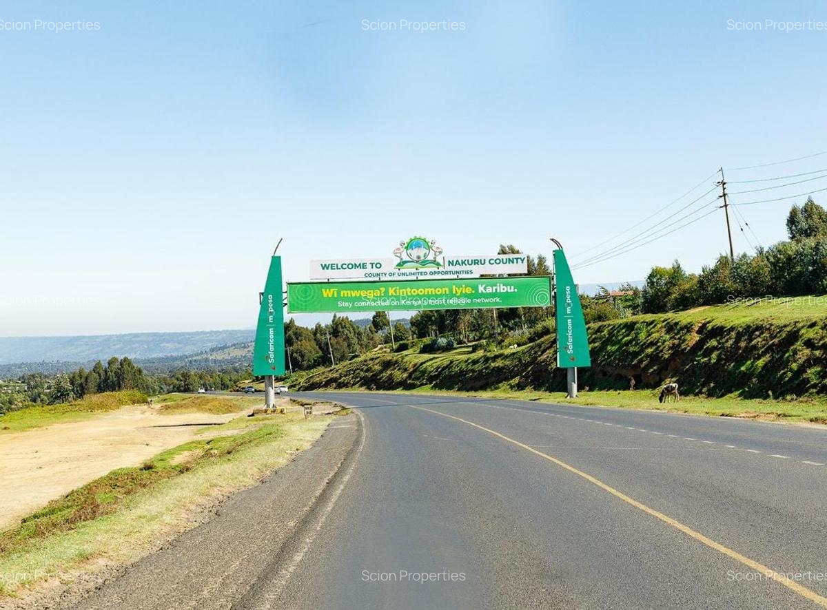 0.125 ac Residential Land in Naivasha - 6