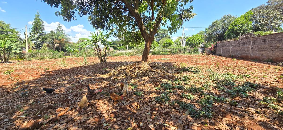 Residential Land at Flem Tree - 11