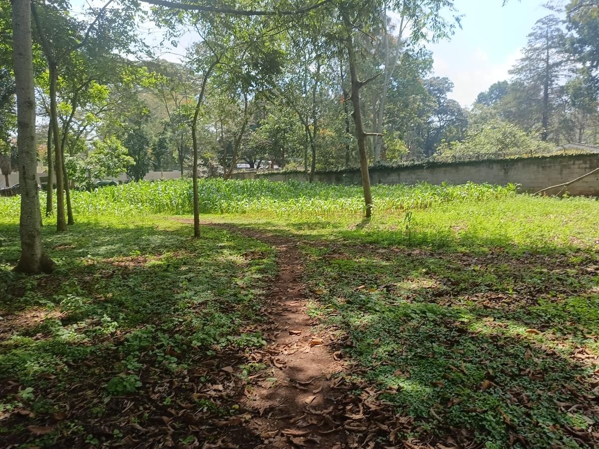 Commercial Land at Westlands - 1