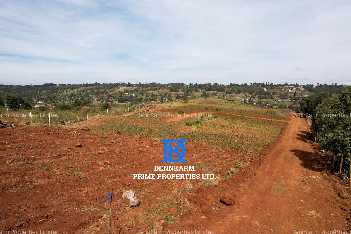 0.05 ha Residential Land at Thigio - 14
