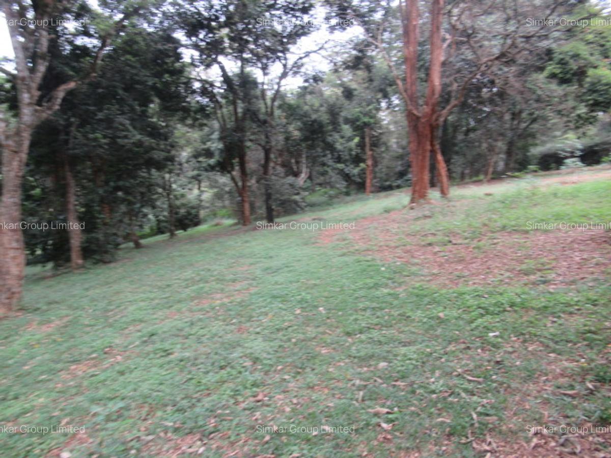 4 ac Land at Mushroom Gardens - 3