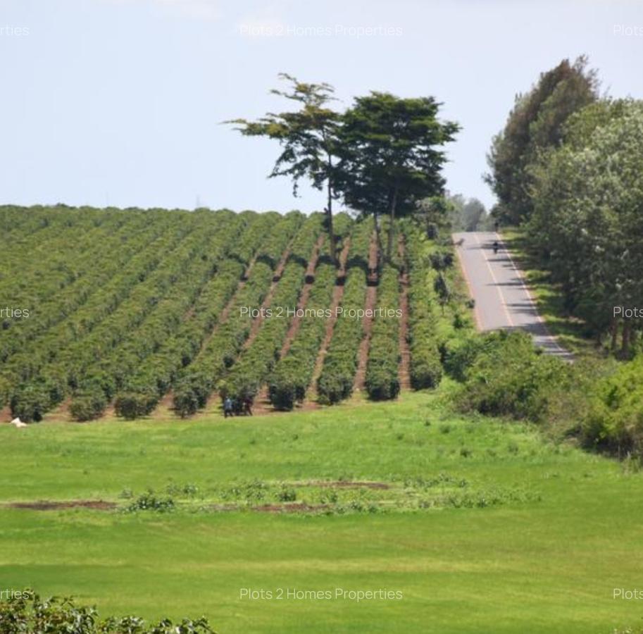 500 m² Land at Zuri Springs Estate - 14