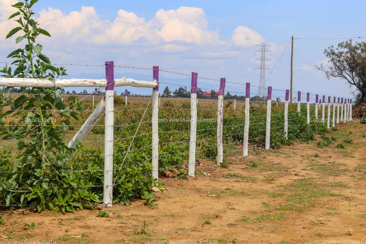 Residential Land in Naivasha - 5