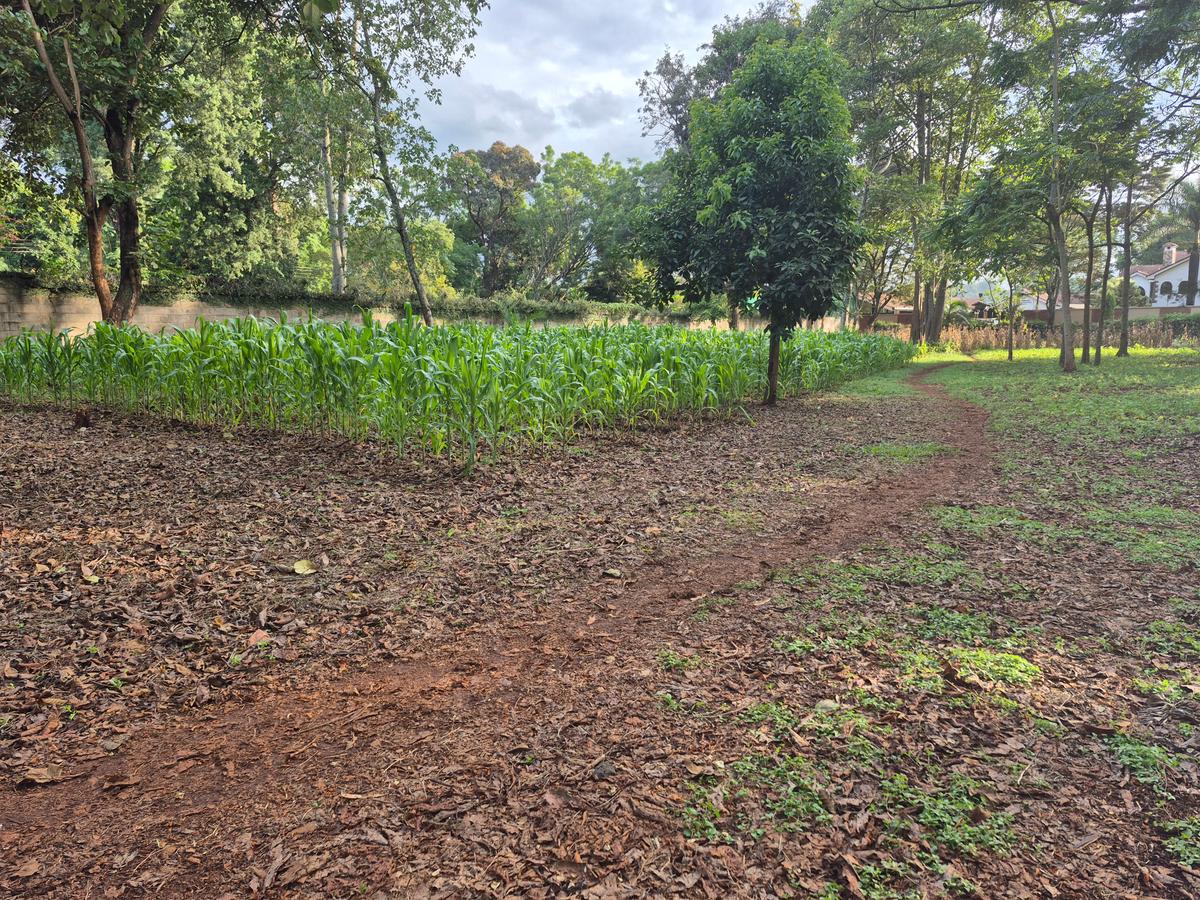 Land in Thigiri - 2