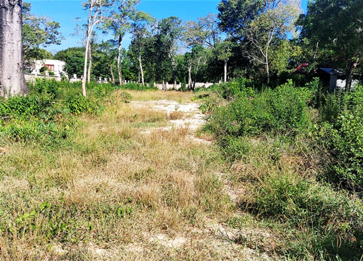 0.5 ac Land at Diani Beach Road - 2