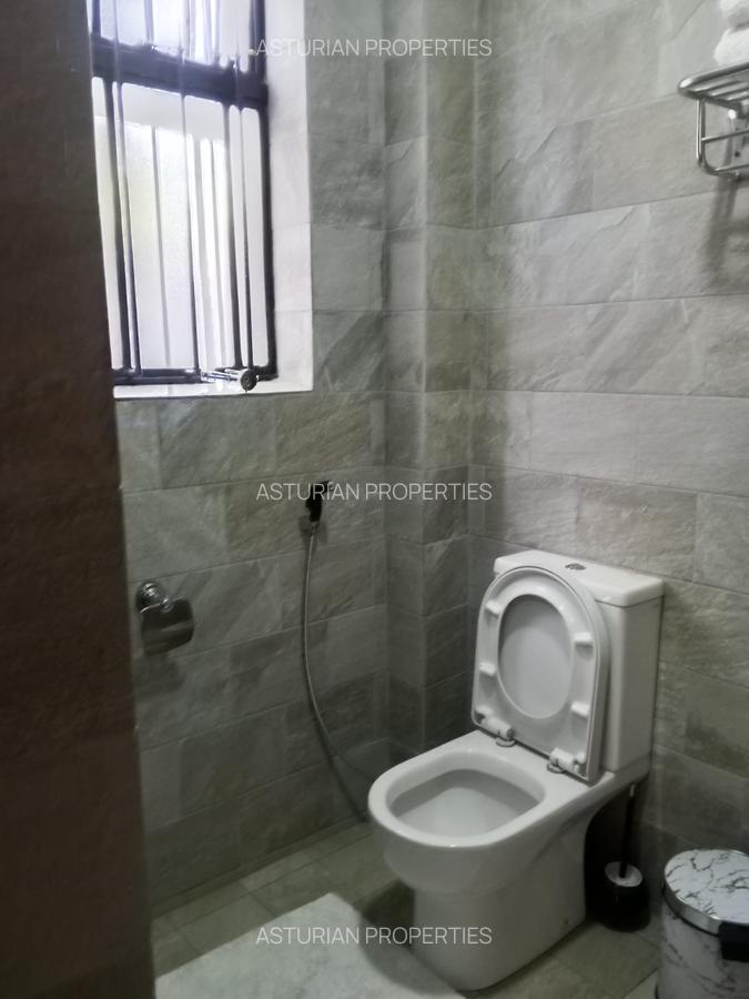Furnished 1 Bed Apartment with En Suite in Lavington - 4