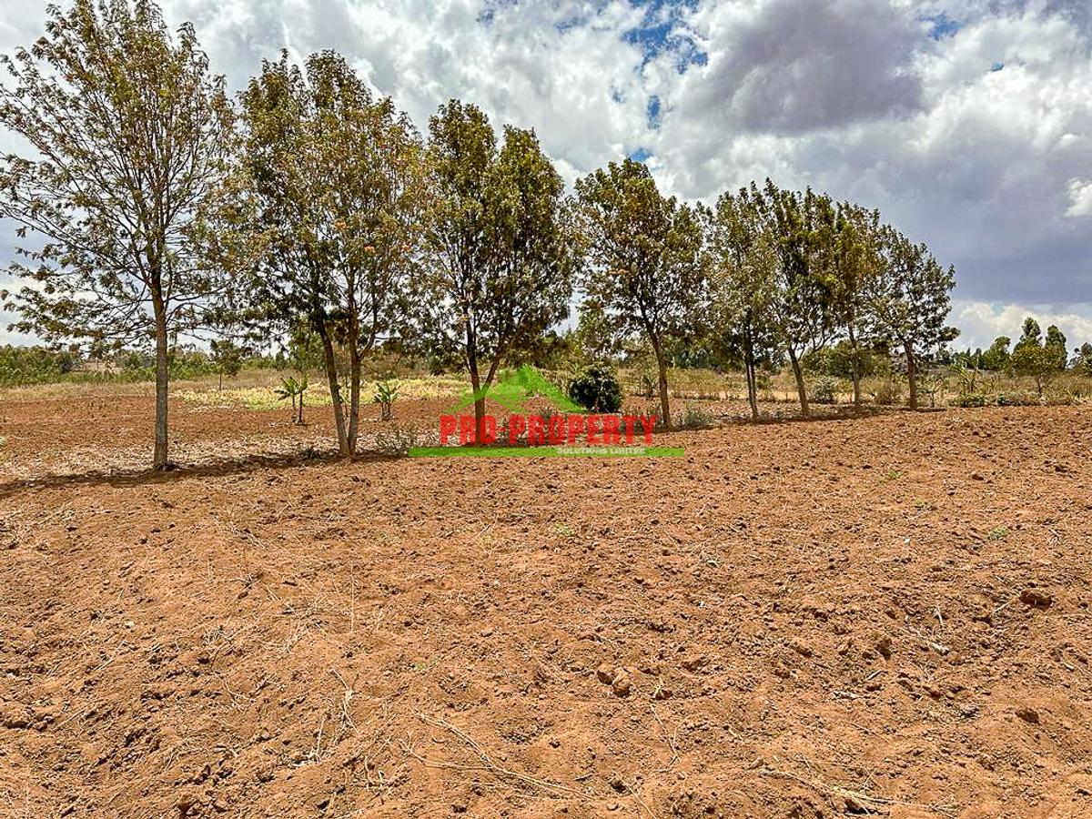 0.2 ha Residential Land in Kamangu - 9