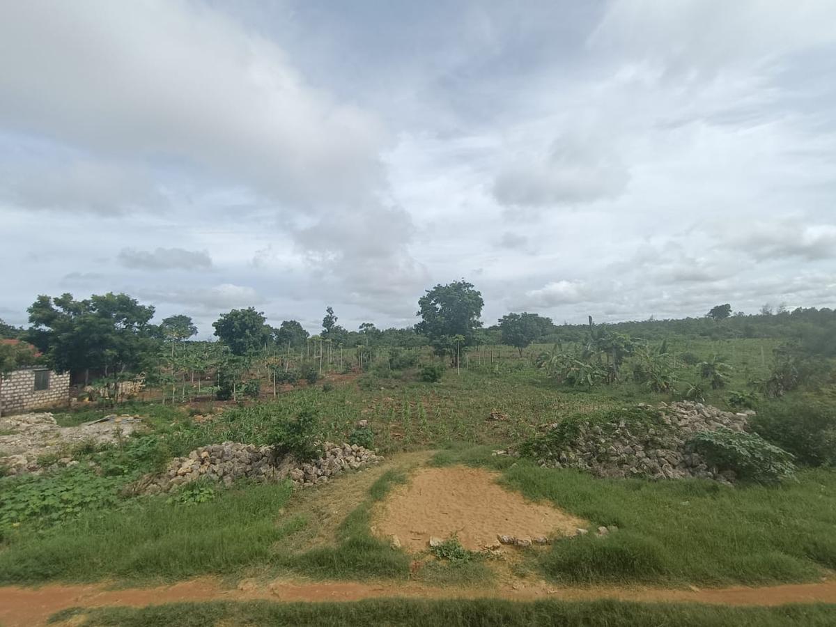 Land in Vipingo - 4