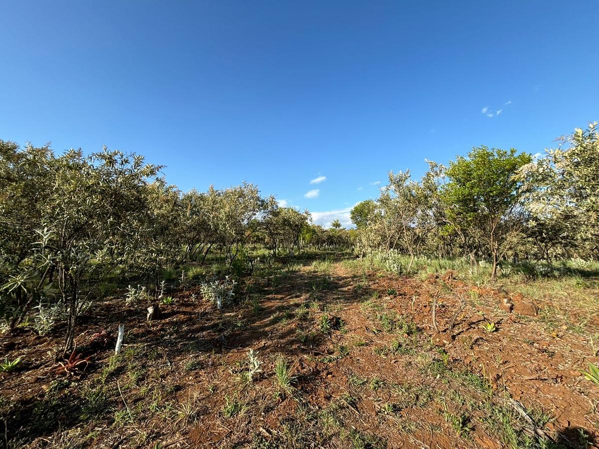 1.66 ac Land in Naivasha - 5