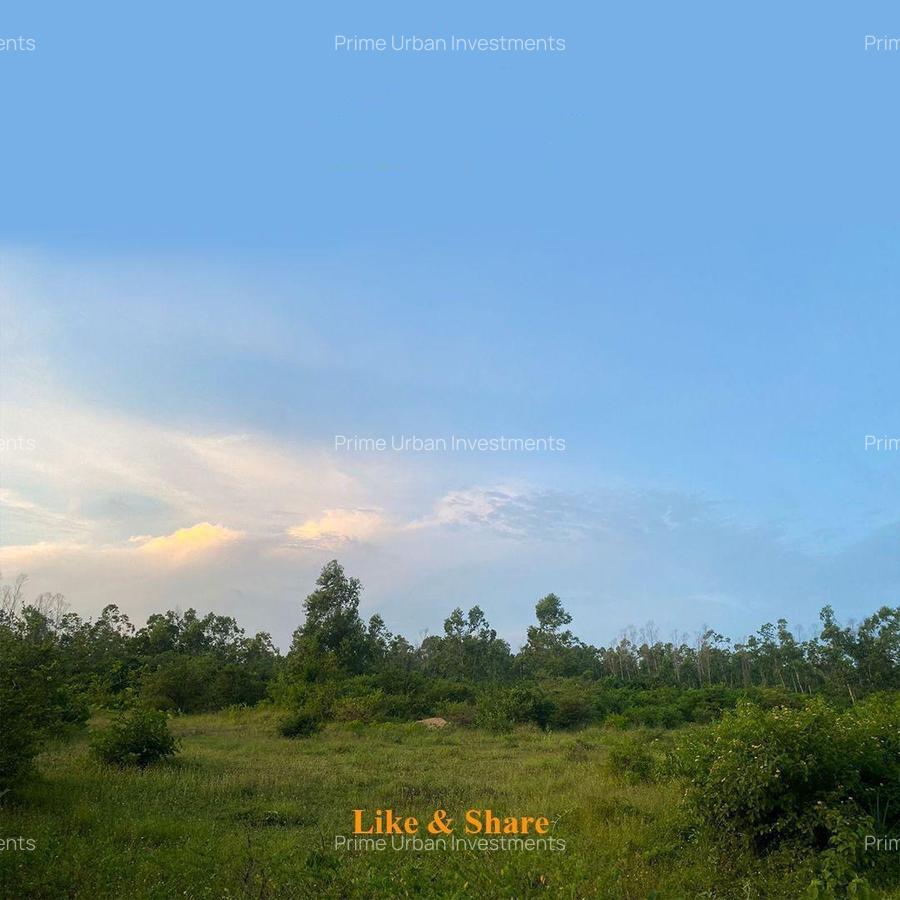 1,012 m² Land at Funzi Island Beach - 4