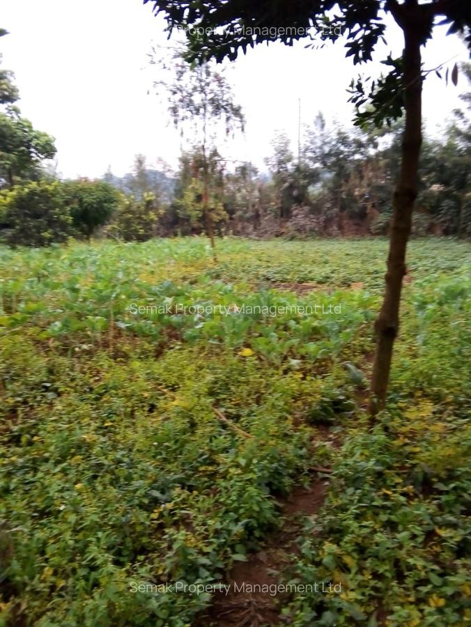 0.5 ac Residential Land in Kiambu Road - 4