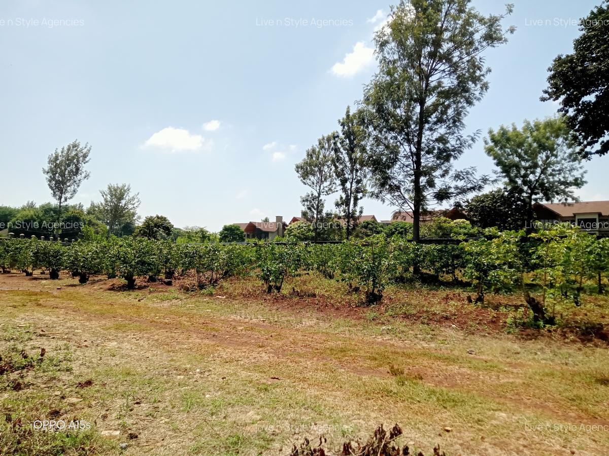 Residential Land in Runda - 5