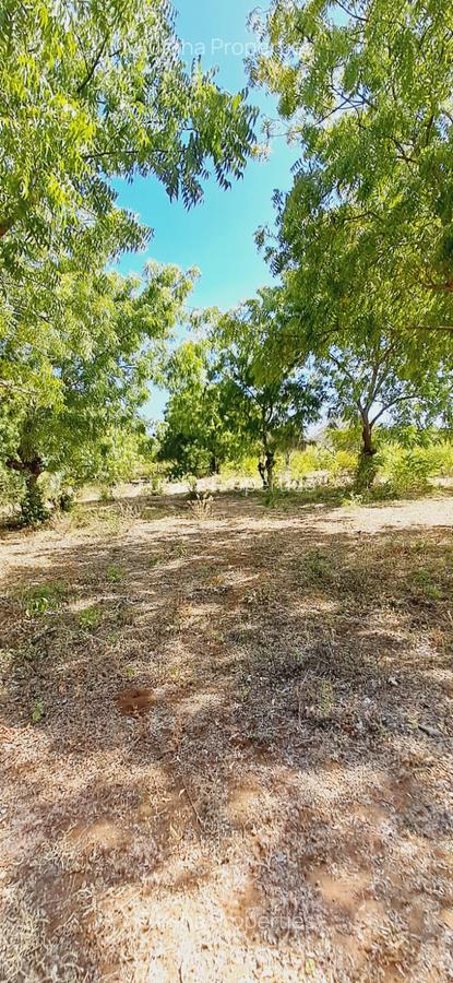 Land in Kikambala - 10