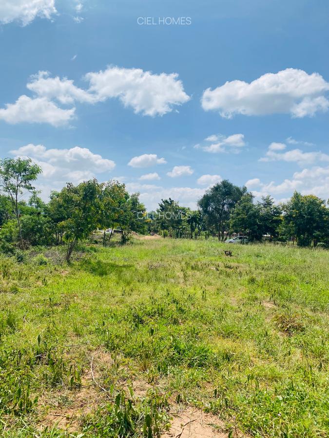 19 ac Land at Kenol-Makutano Highway - 18