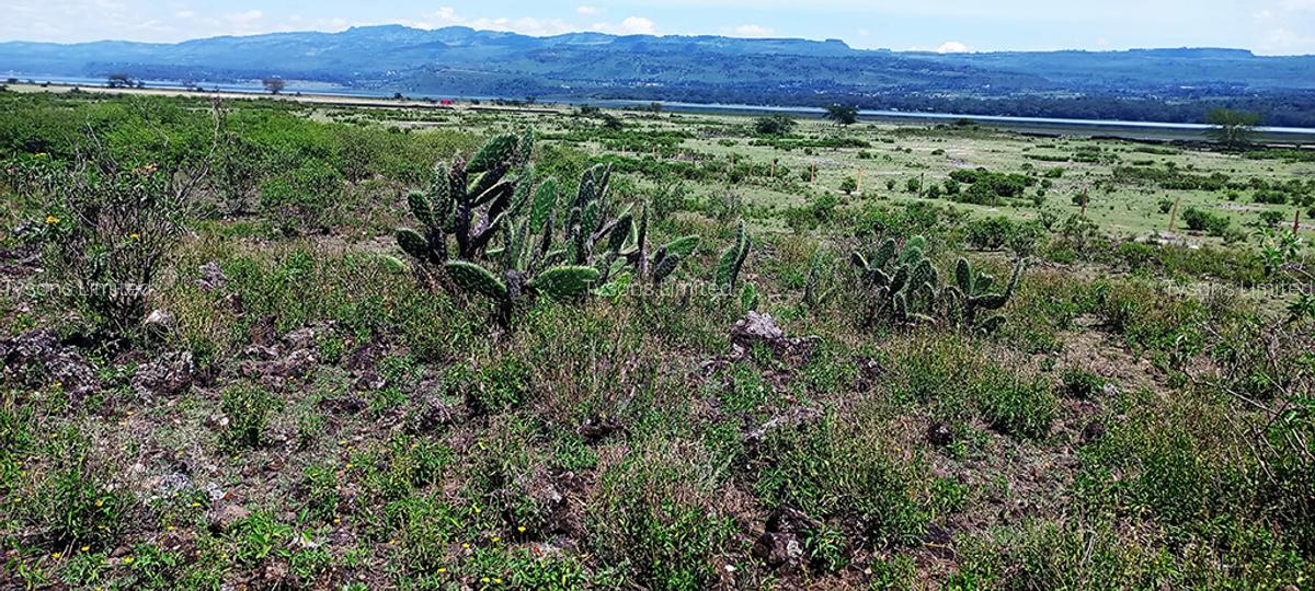 1.999 ac Commercial Land in Gilgil - 4