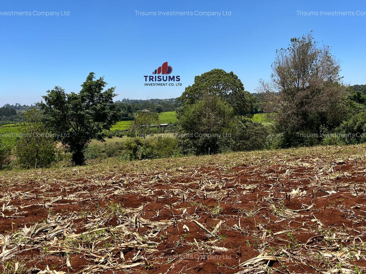1.5 ac Land in Tigoni - 13
