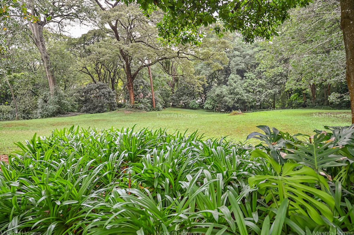 Serviced 2 Bed Apartment with En Suite at Muthaiga Road - 20