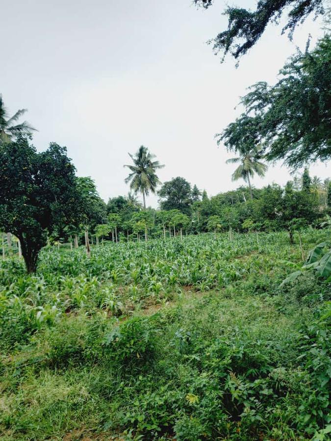 1 ac Land in Mtwapa - 1