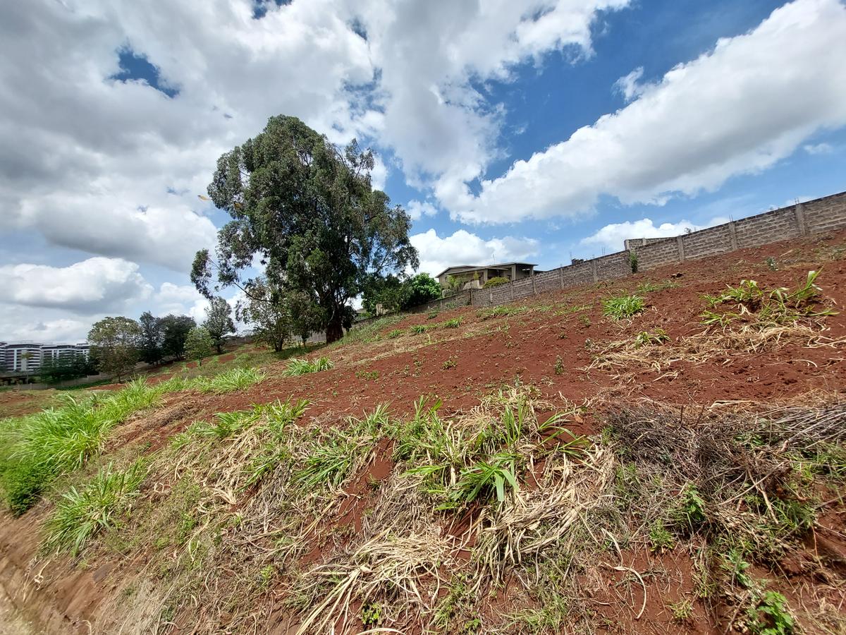 Residential Land at Rosslyn Valley - 5