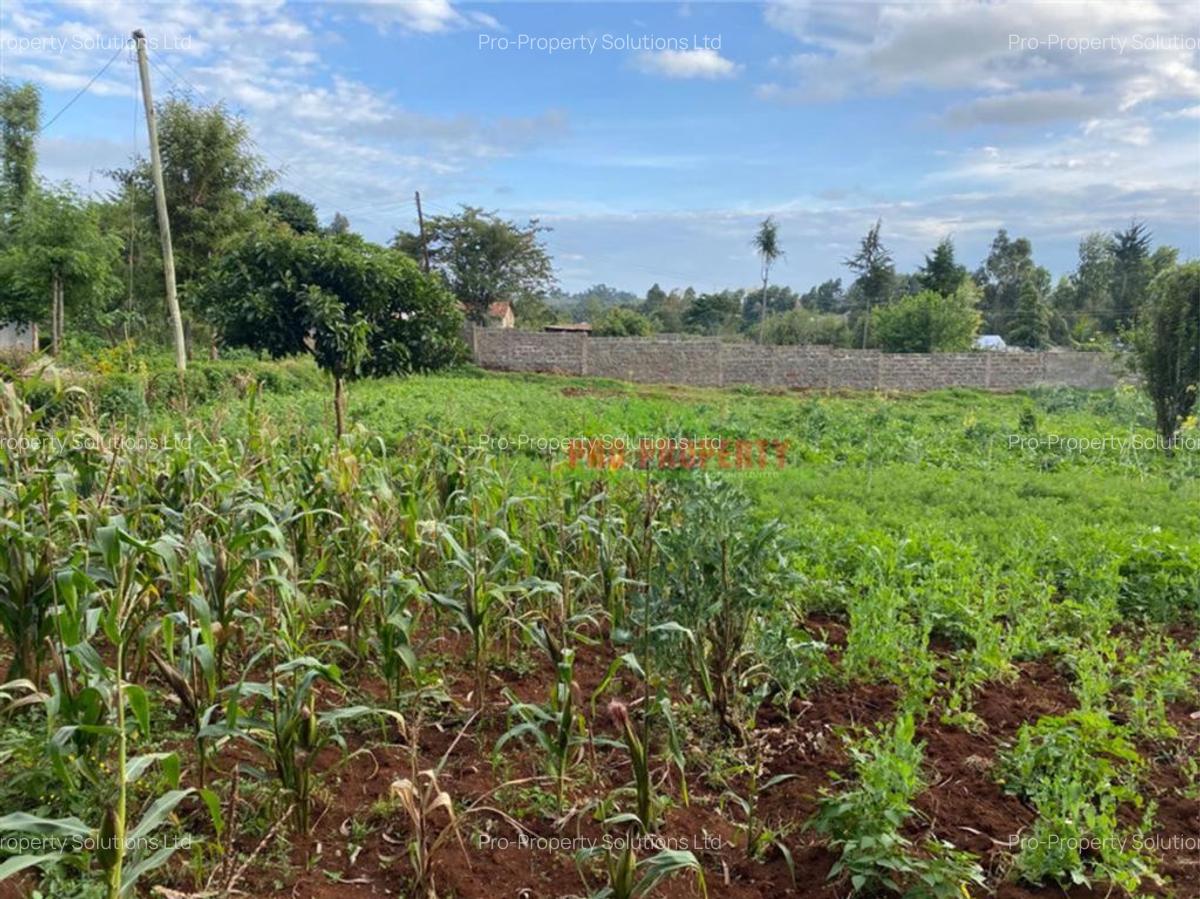 4,000 m² Land in Limuru - 2