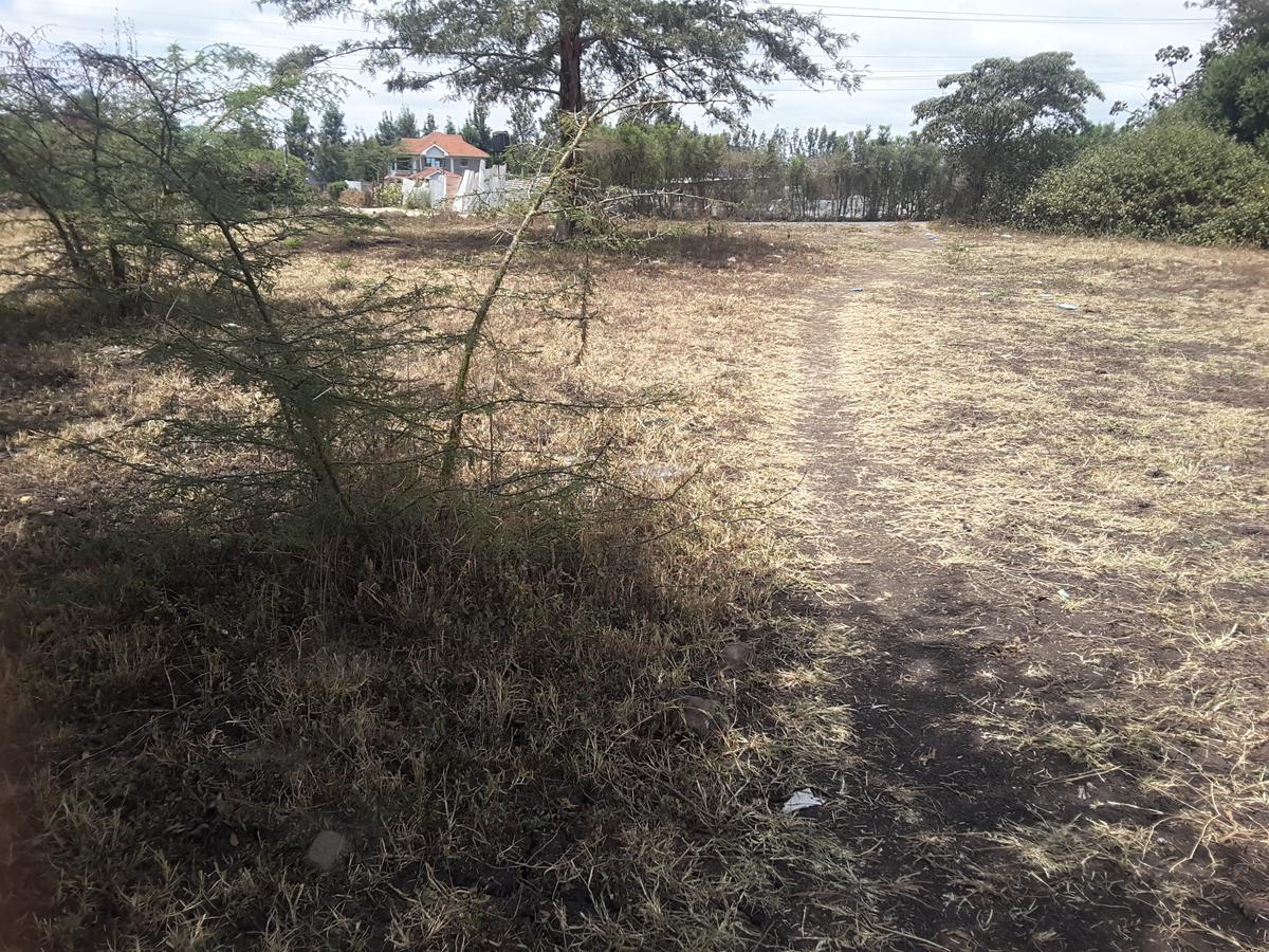 0.125 ac Residential Land in Ongata Rongai - 9