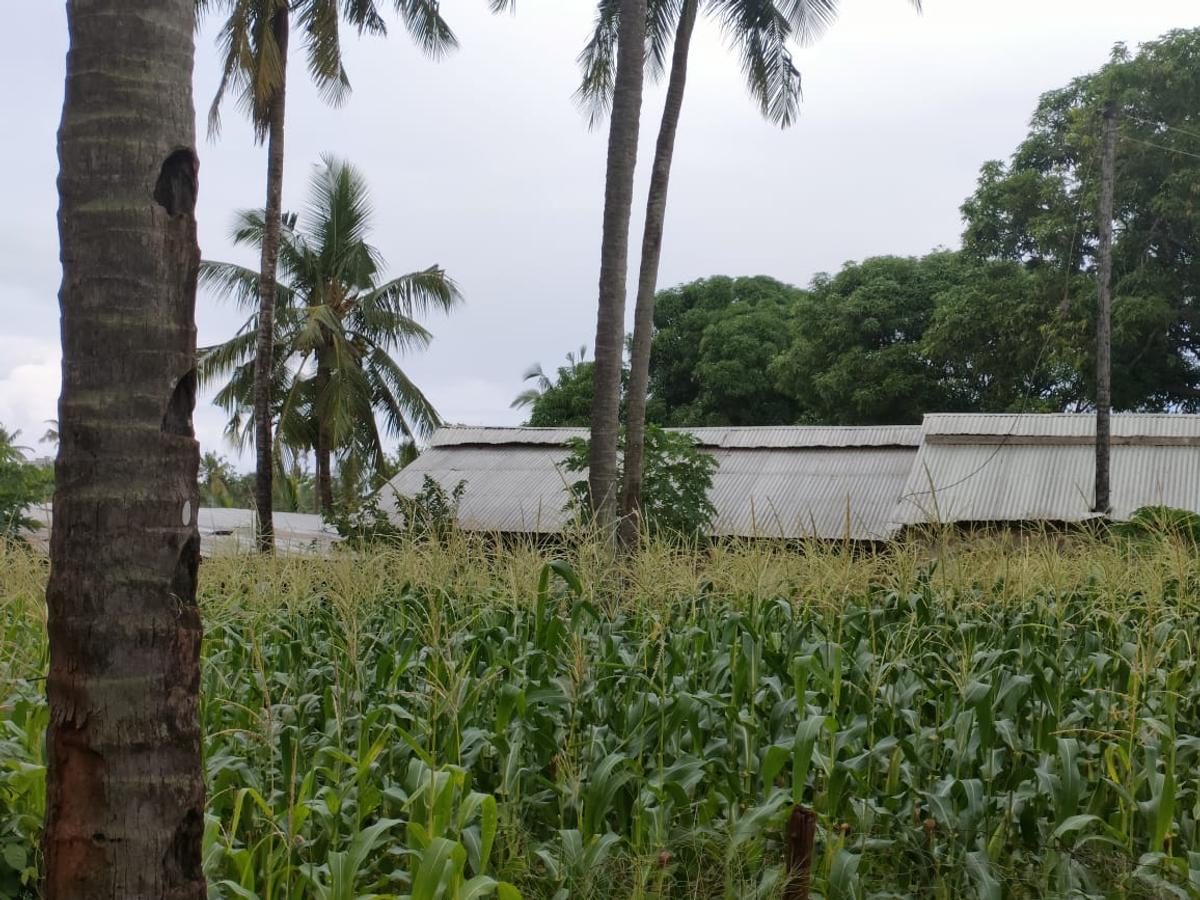 2 ac Land at Msumarini - 8