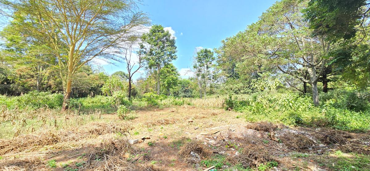 Residential Land at Shanzu Road - 3