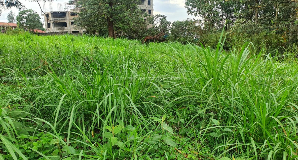0.5 ac Land at Ruaka Town - 1