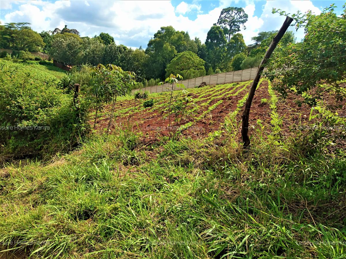 1.36 ac Residential Land at Kabarsiran Avenue - 4