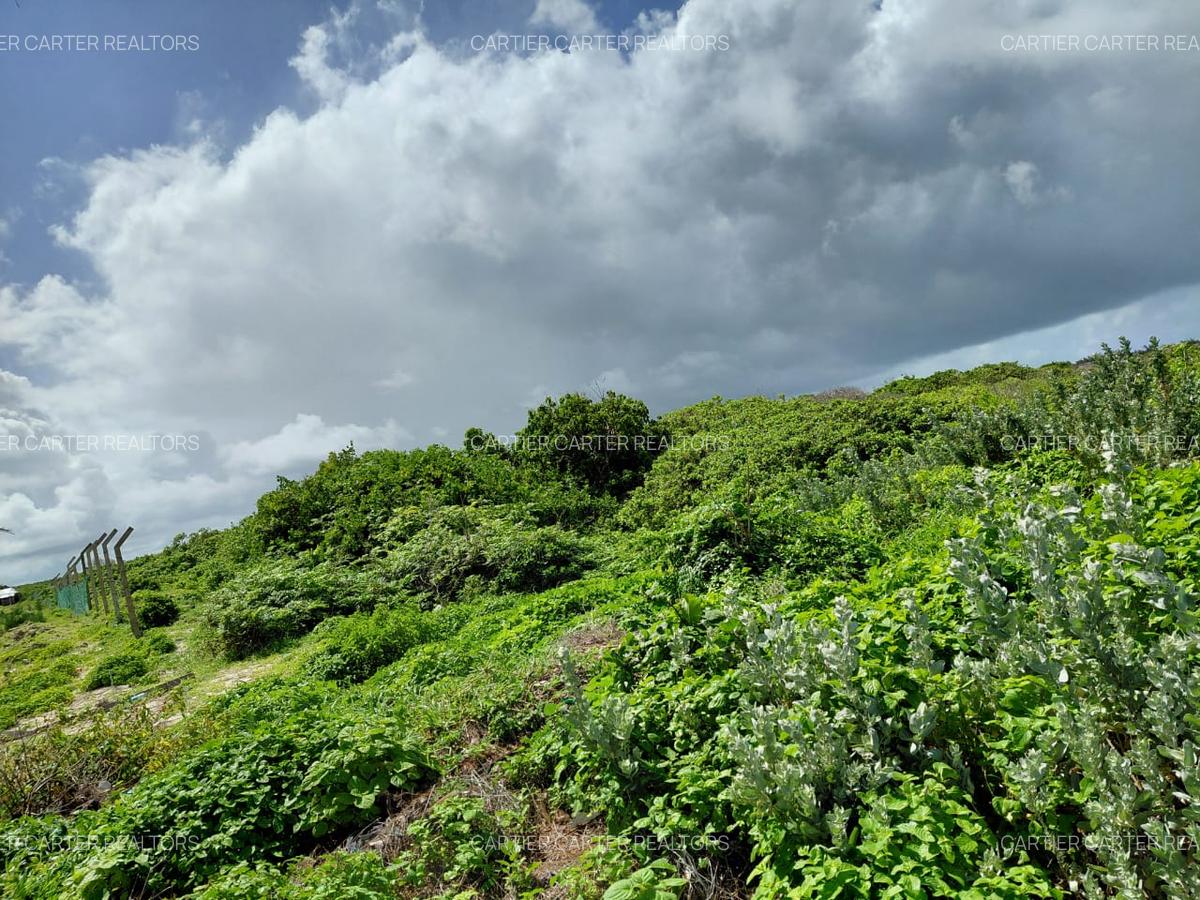 12 ac Land in Watamu - 15