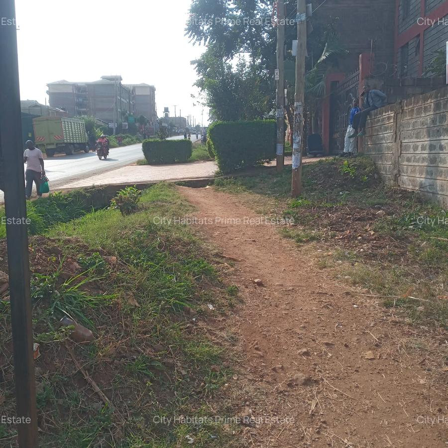 0.125 ac Land in Ruaka - 1