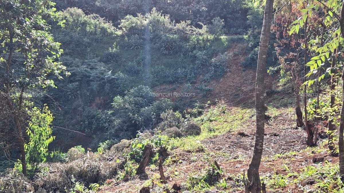 3 ac Land at Limuru Road - 6