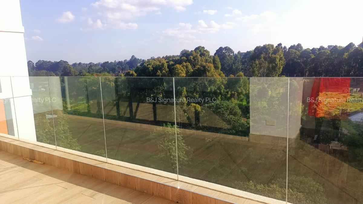 2 Bed Apartment with En Suite in Gigiri - 10