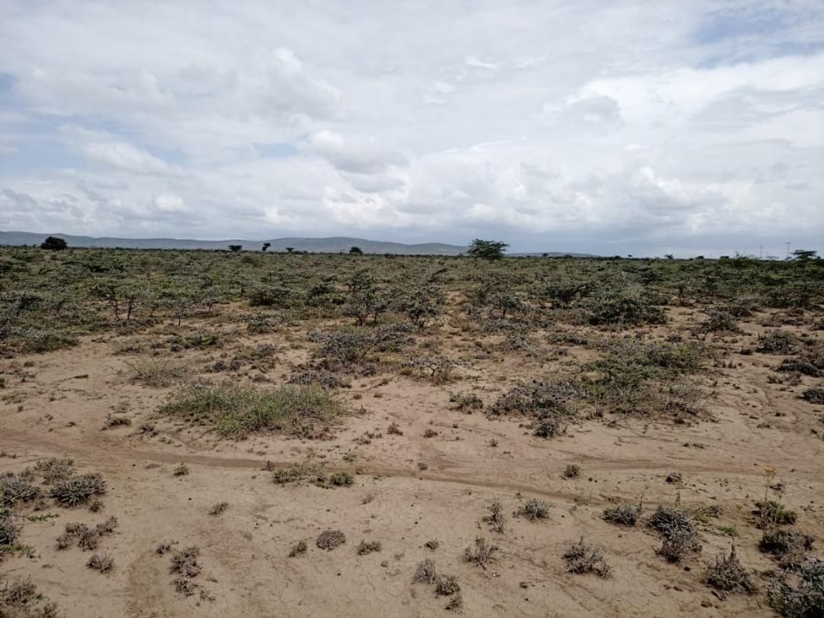 48 ac Land at Loita Plains Hotel - 6