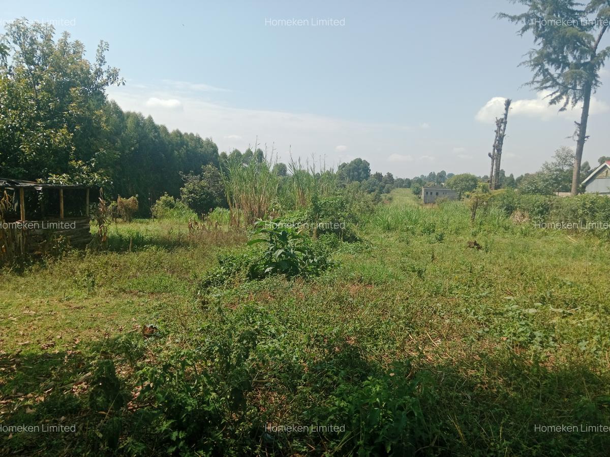 1 ac Land at Ngecha - 3