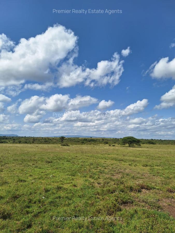 0.125 ac Residential Land at Kitengela - 15