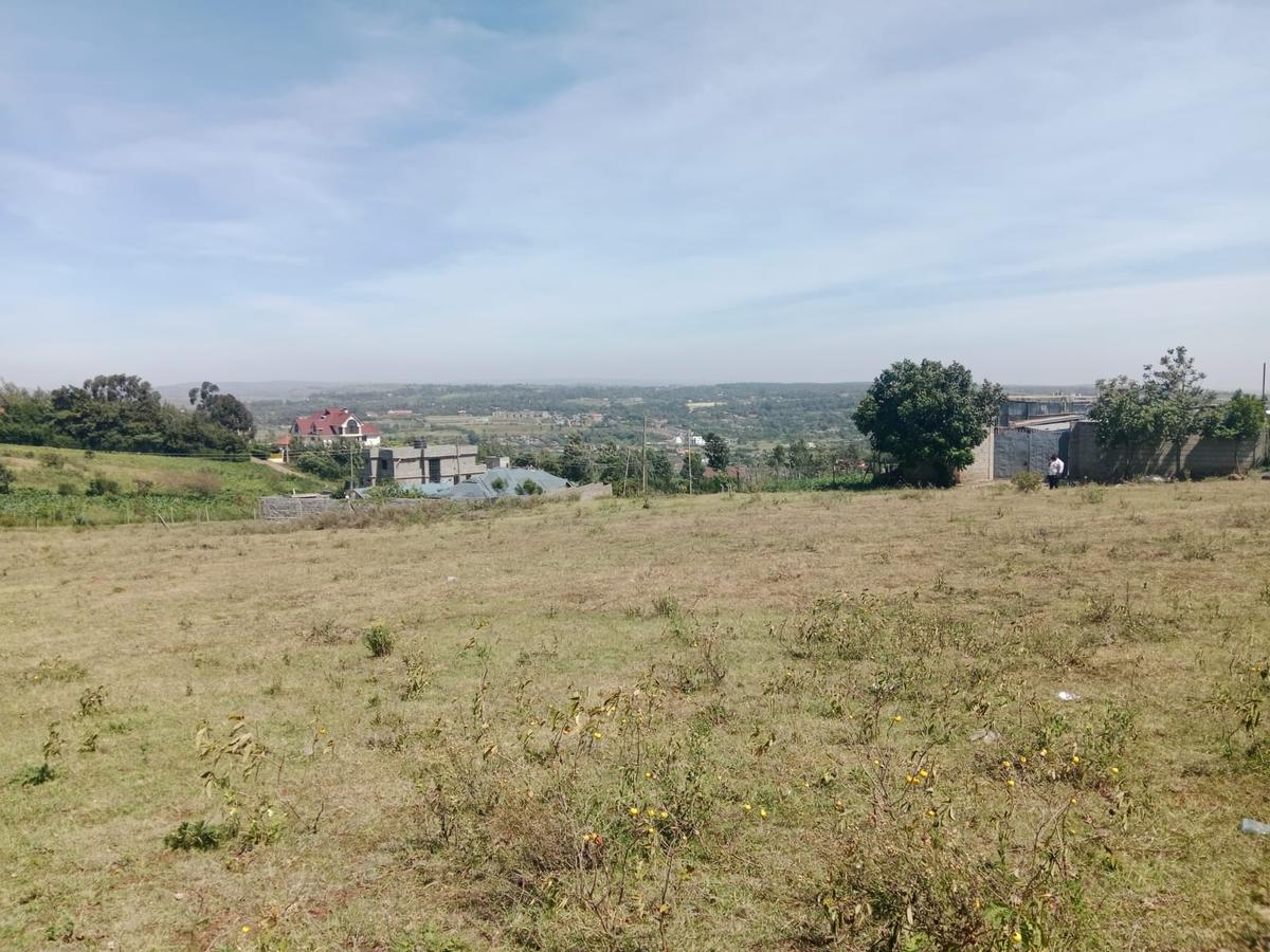 1 ac land at kibiko