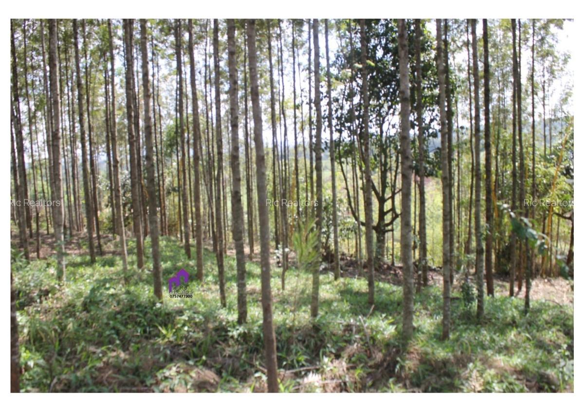 3.5 ac Land at Karinde Road - 10