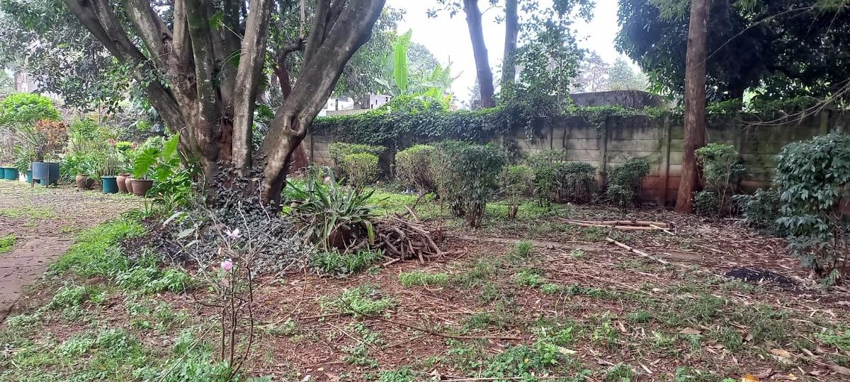 1.5 ac Land in Lavington - 3