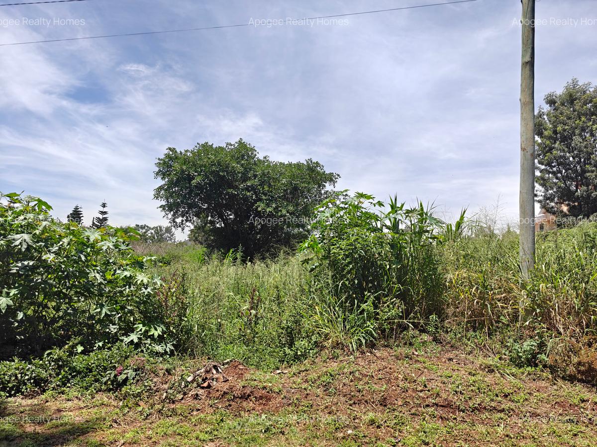 0.5 ac Land at Mushrooms Garden - 11
