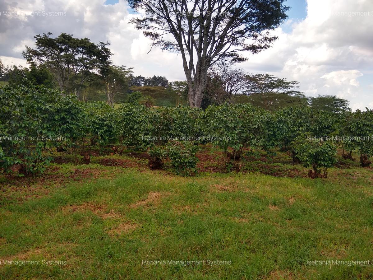 100 ac Land at Kiambu Road - 1
