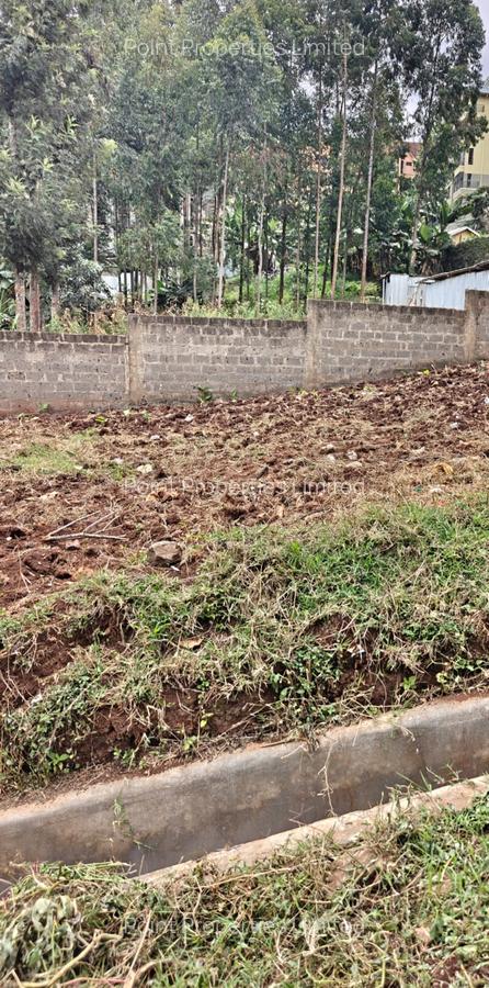 0.125 ac Land in Ruaka - 2