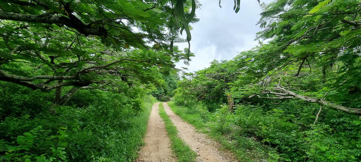 15 ac Land at Kuruwitu - 5