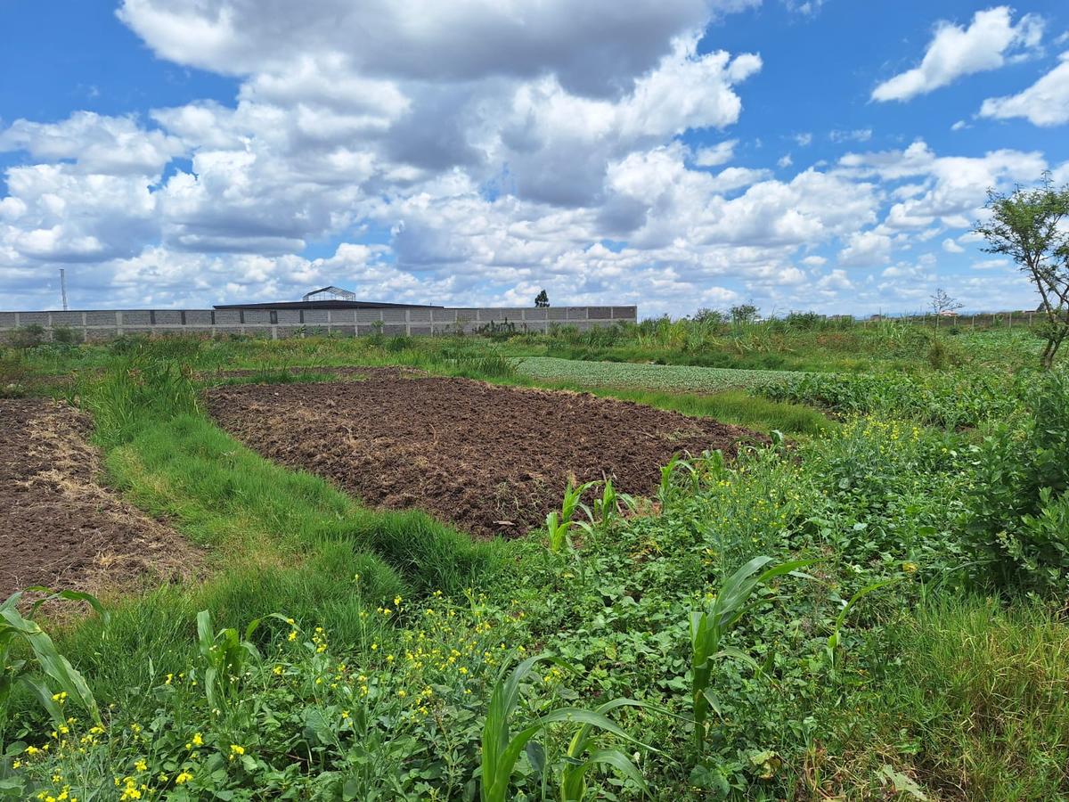 2.5 ac Commercial Land at Thika - 3