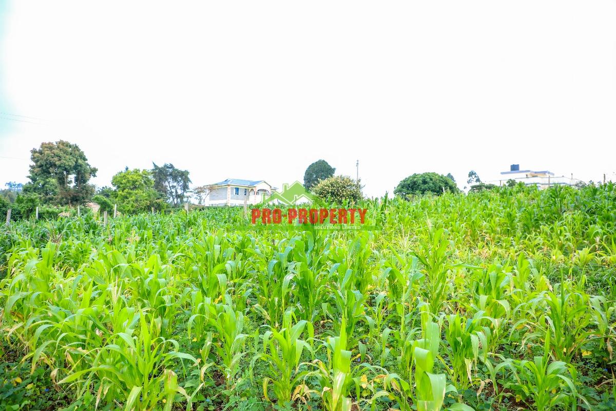 0.06 ha Residential Land at Kamangu - 6