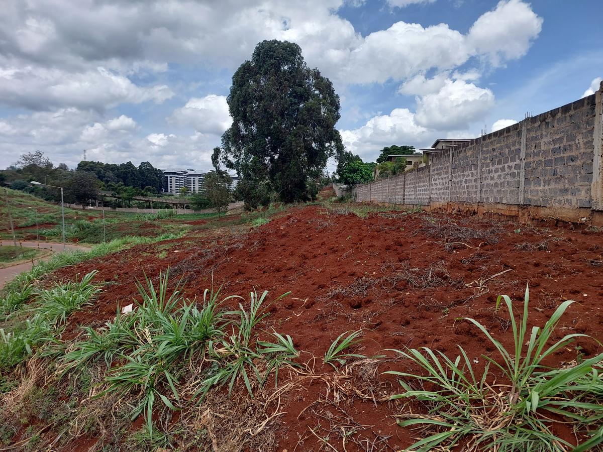 Residential Land at Rosslyn Valley - 10