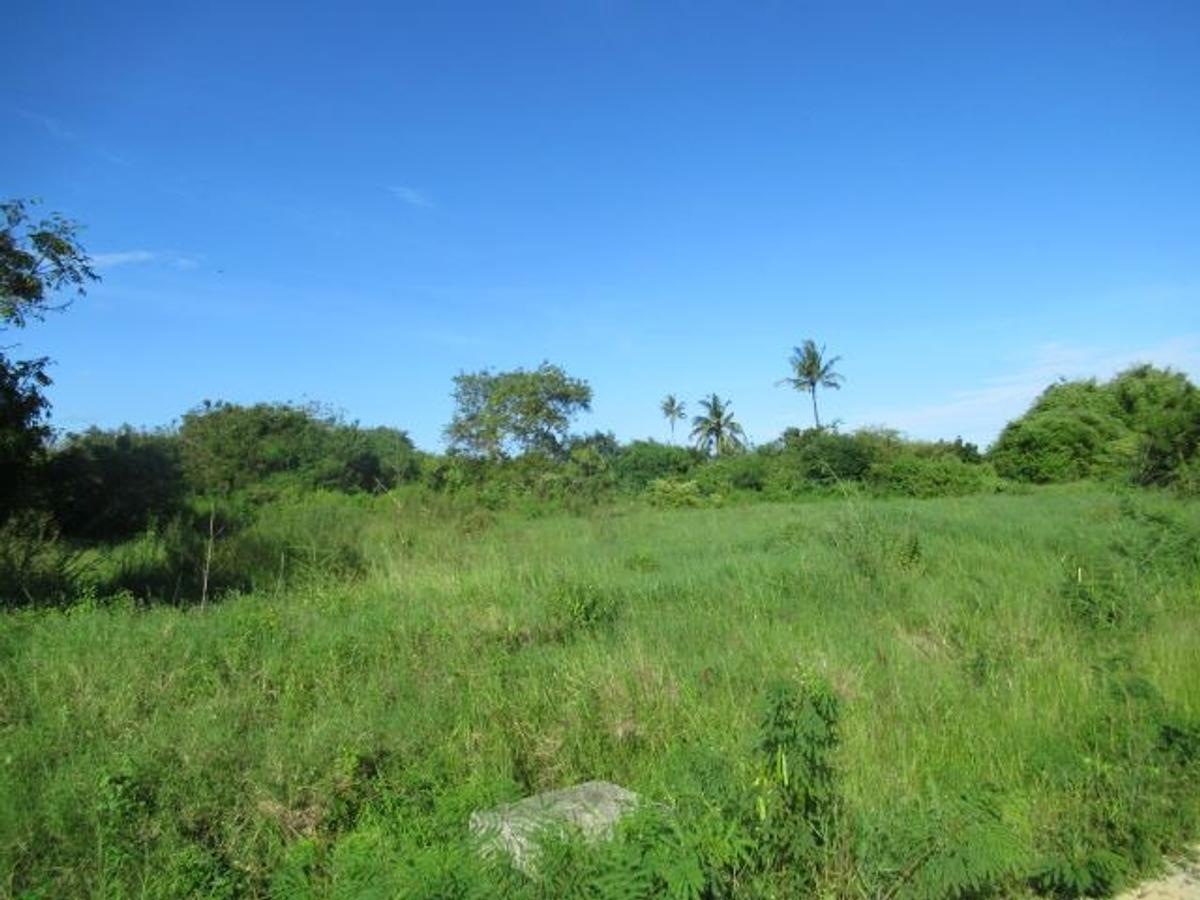 506 m² Residential Land at Malindi Road - 12