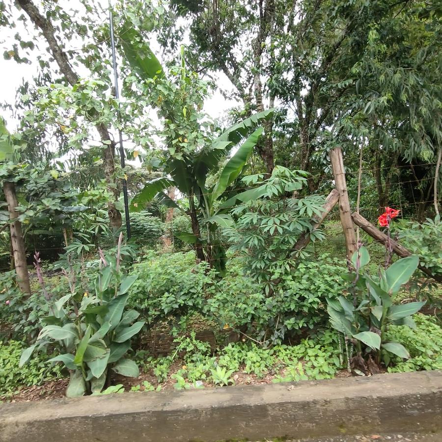 0.5 ac Land at Nandi Road - 18